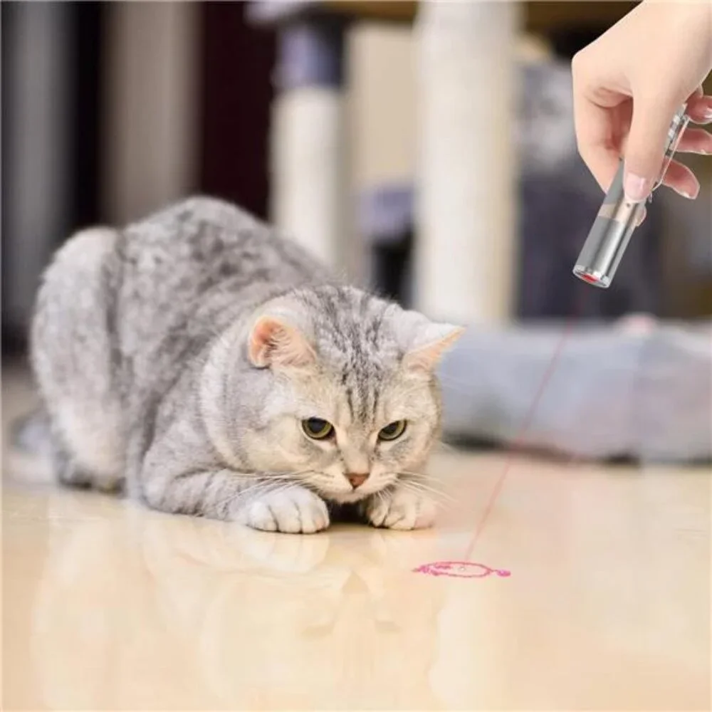 Cat Toys, with Metal Case, 2 Pieces, Rechargeable, 7 Adjustable